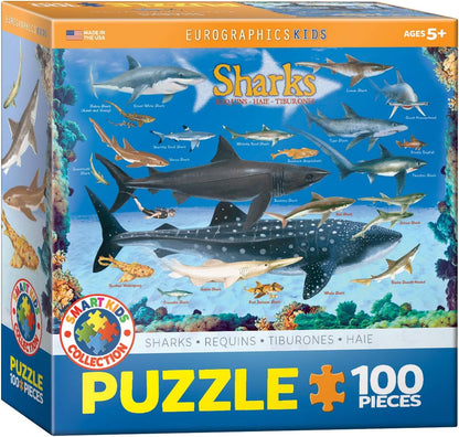 The Solar System 100 Piece Jigsaw Puzzle - Colors A
