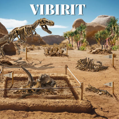VIBIRIT Dig Up Dinosaurs Skeleton Set,Dinosaur Digging Fossil Kit Model Toys,Excavation Kits for kids5-12year,Educational Realistic Toys for Kids,Boys,Girls