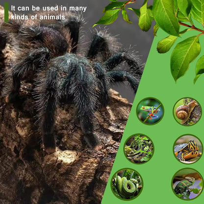 Critter Keeper Ant Farm Cane Toad Trap Little Live Pets Bug Catcher Kit for Kids Frog Habitat Turtle Tank Reptile Terrariums Lizard Cage Fish Bowl Beach Aquarium Catch and Release