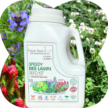 Flawn Seed Kits Speedy Bee Lawn, 500 SqFt, Dutch & Crimson Clover, Self-Heal, Easy to Spread, Low Maintenance, Pet, Kid, Eco-Friendly Regenerative