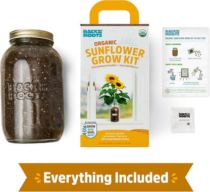 Back to the Roots Kids Science Grow Kit - 2 pk Bean and Watermelon