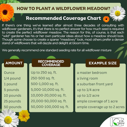 Mini Wildflower Seed Shaker - Save The Bees Seed Mix, by GevaGrow | 80,000+ Seeds | Pollinator & Bee Attracting Flower Seeds Bulk for Planting in Pots & Outdoor Gardens | 2 Ounce