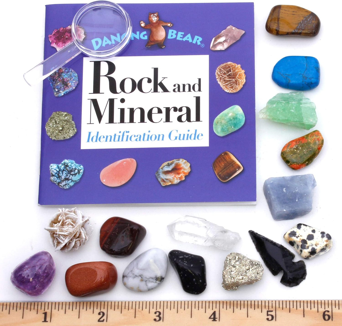 DANCING BEAR Rock, Mineral & Geodes Treasure Hunt Activity Kit (250 Pc Set) Real Shark Teeth Fossils, ID Sheet & Rock Book, STEM