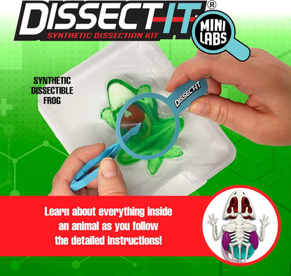 Dissect-It Discover-It Dinosaur Dig Kit, Dissecting Gel Kids Science Kit Project to Learn Anatomy, STEM Toys for Ages 6 and Above