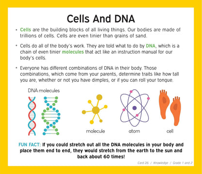 TestingMom.com Gifted Learning Flash Cards Bundle - Educational Flash Cards for 6-8 Years - Knowledge, Spatial Concepts, Following Directions and Math Flash Cards for Grade 1-2 CogAT, OLSAT, NNAT