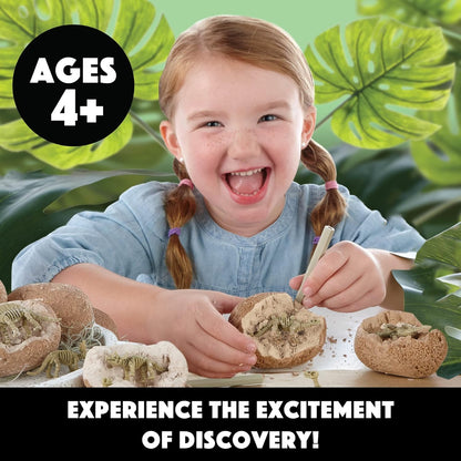 MindWare Dig It Up! Dinosaur Skeleton Eggs Excavation kit - Comes with 12 Clay Eggs, 12 Chisel Tools and 12 Instruction Sheets