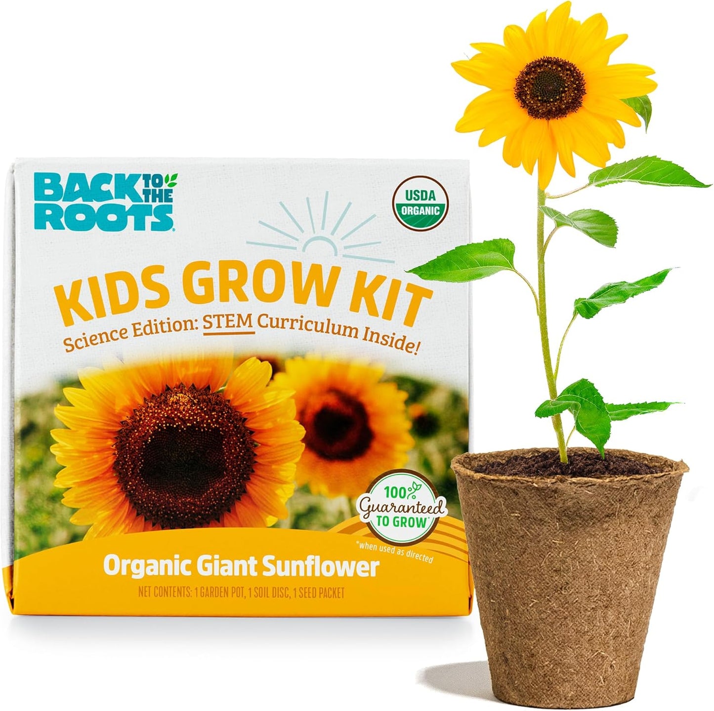Back to the Roots Terrarium Grow Kit - Easy-to-Use DIY Set for All Ages Small