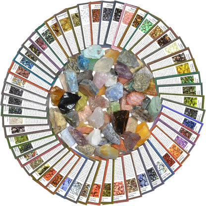 Fantasia Materials: 50 Different Rough Stones with Identification Cards - The Best Starter Rock Collection and Activity Kit Including Stones from Brazil, Madagascar, Mexico, Asia, India and More!