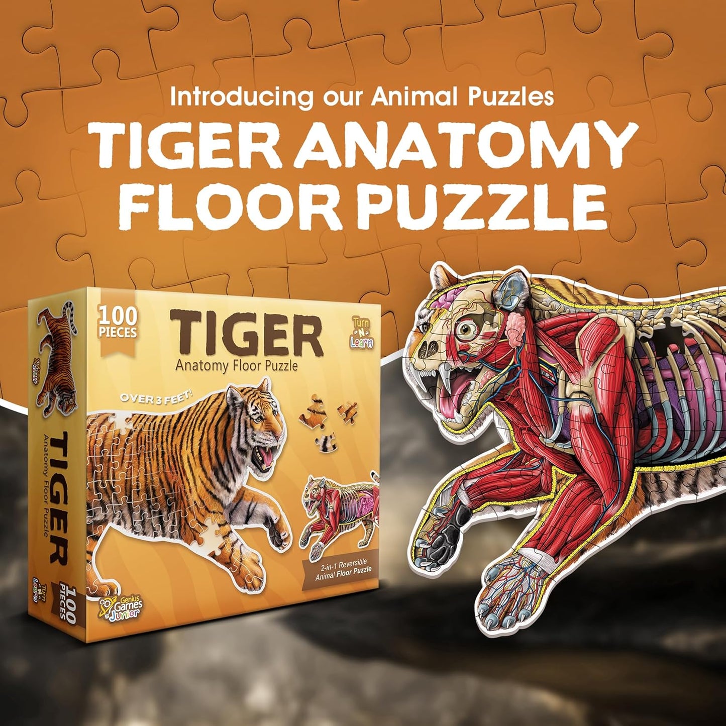 Bullfrog Animal Anatomy Floor Puzzle | 100-Piece Double Sided Jigsaw Puzzle | Large-Sized, Over 4 Feet Scientifically Accurate Illustration of Frog - Fun and Educational Toy for Kids, Toddlers