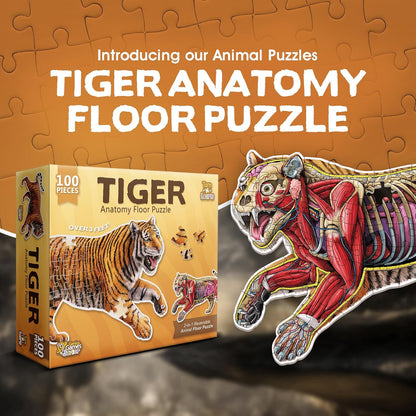 Bullfrog Animal Anatomy Floor Puzzle | 100-Piece Double Sided Jigsaw Puzzle | Large-Sized, Over 4 Feet Scientifically Accurate Illustration of Frog - Fun and Educational Toy for Kids, Toddlers