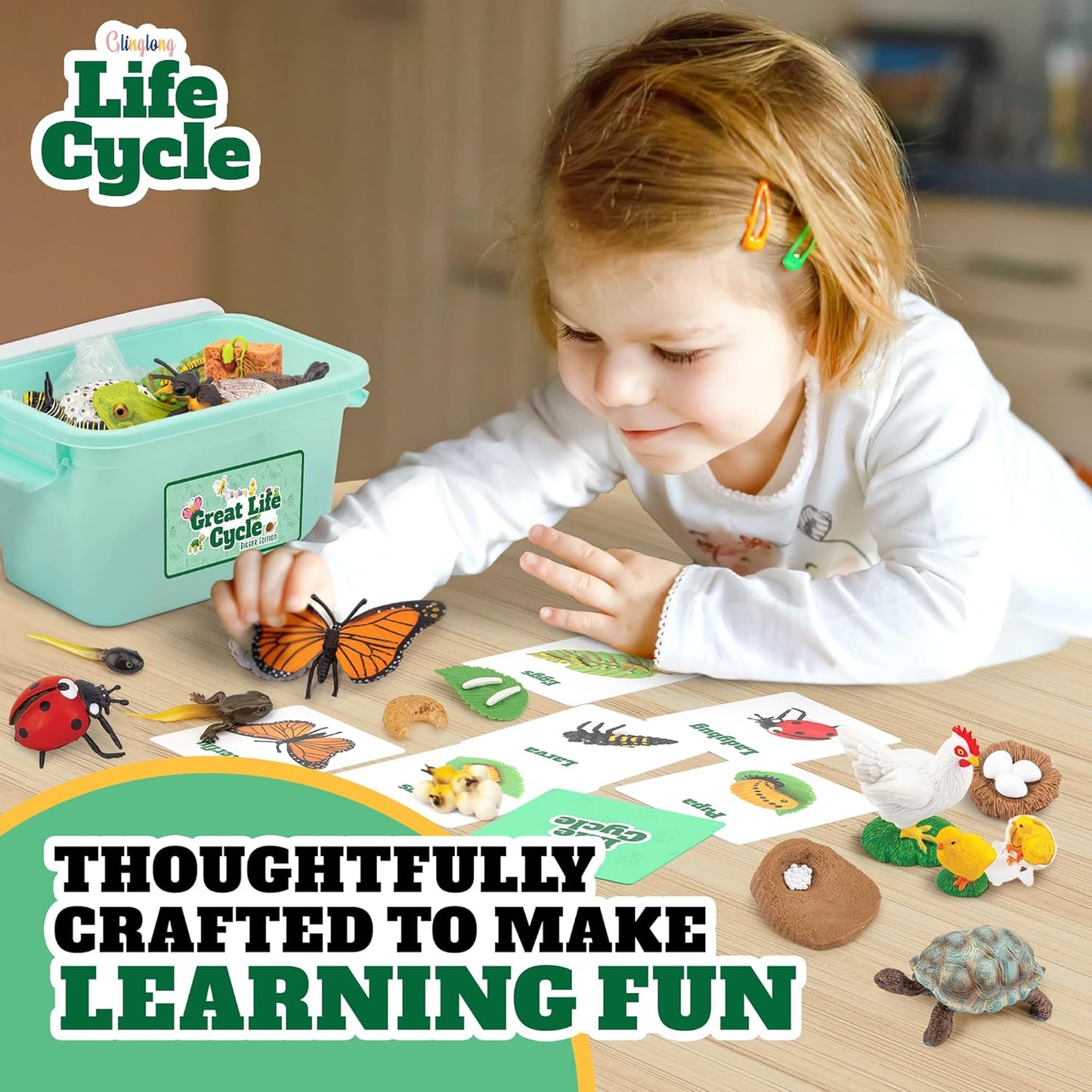Life Cycle Animal Kit - Montessori Science Toy with 24-Piece Matching Game, Butterfly, Frog, Chicken, Bee, Ladybug and Turtle STEM Educational Gift, Easter Basket fillers for Kids Ages 3-8
