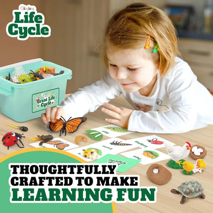 Life Cycle Animal Kit - Montessori Science Toy with 24-Piece Matching Game, Butterfly, Frog, Chicken, Bee, Ladybug and Turtle STEM Educational Gift, Easter Basket fillers for Kids Ages 3-8