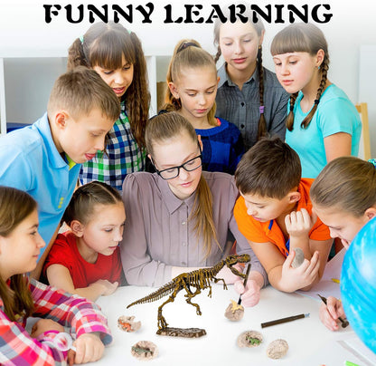 Dinosaur Fossil Dig Kit, Dino Excavation Kits for Kids, Educational Science Kits, Dinosaur Toys for Kids, Dig up 2 3D Skeleton Puzzles and 2 Dino Figures Including T-Rex, Triceratops