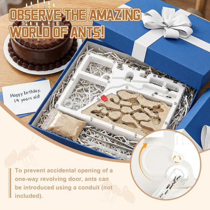 Yellow Sand Ant Castle Ant Habitat Kit, 8.7inch Decorative Sand Terrarium with Dropper Tweezers, No Ants or Food Included