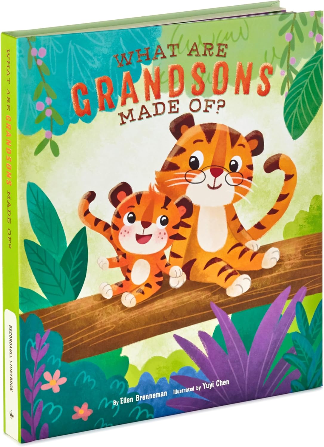 Hallmark Recordable Book for Children (What are Grandsons Made of?) Easter Basket Stuffers