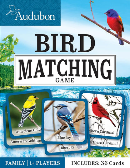 MasterPieces Officially Licensed CAT Picture Matching Card Game for Kids and Families