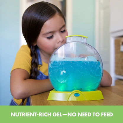 Educational Insights GeoSafari Day 'N' Night Ant Factory - Ant Farm For Kids with Live Ants, Kids Science Kit, At Home Bug Kit, Light-Up Habitat for Viewing Ants, Nature Toy Starter Kits for Ages 7+