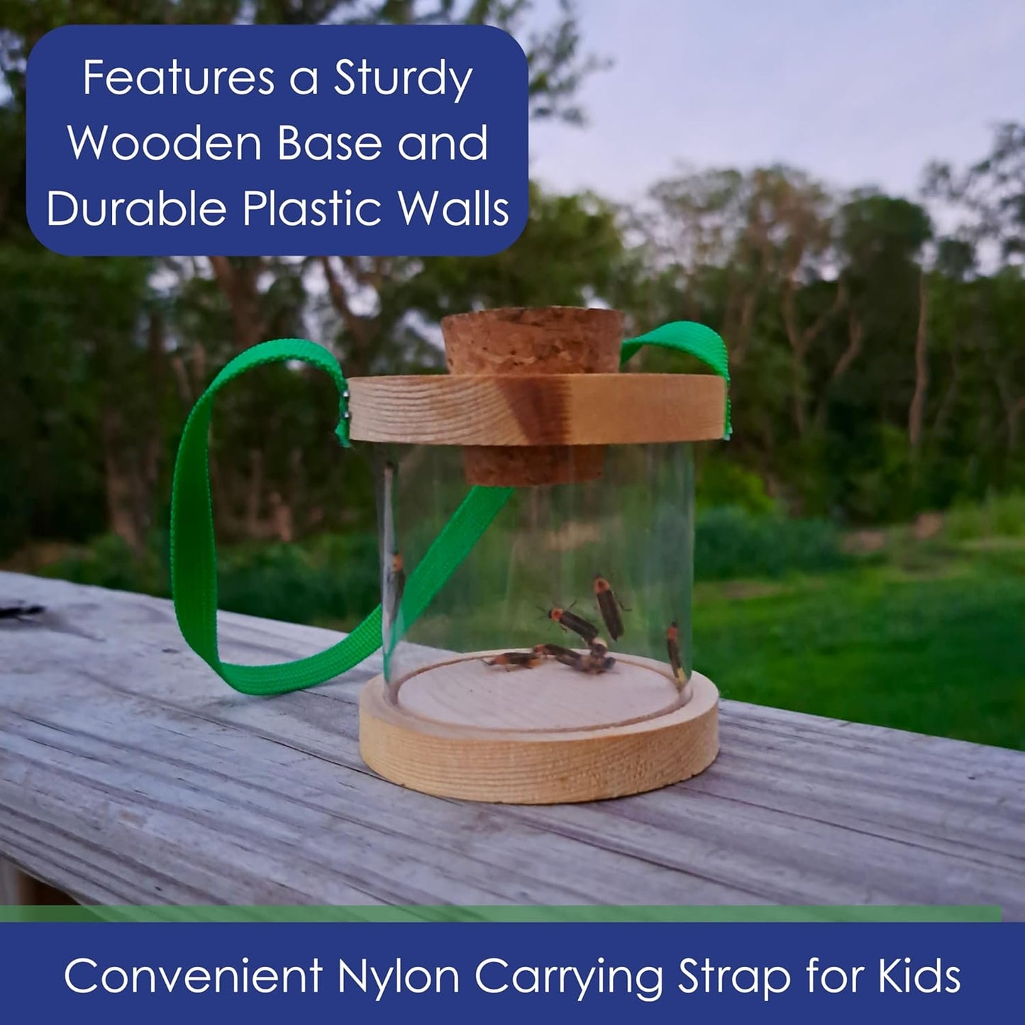 Wooden Bug Box for Kids, Dual Chamber Insect Habitat with Nylon Carrying Strap