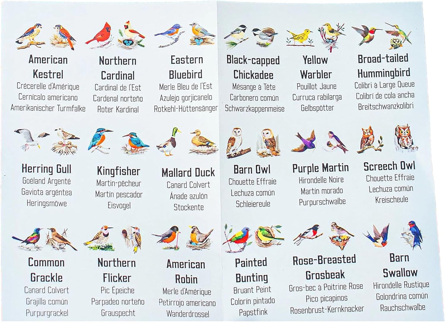 eeBoo: Memory & Matching Game- Little Birds- 18 Illustrated Matching Pairs, Concentration Tile Game, Informational Insert, Kids Ages 4+, 1-4 Players