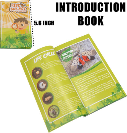 Insect Specimen Set, Bugs Collection Scientific Education Gift for Kids Aged 3-8-12 (Millipede, Centipede, Dragonfly Larvae, Tea Seed Bug, Red Longhorn Beetle, Spiny Spider)