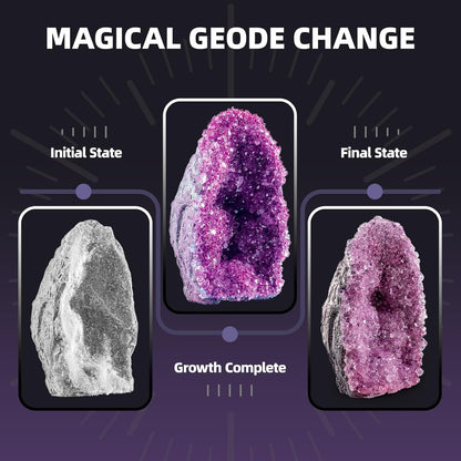 GobiDex Geodes Crystal Growing Kit for Kids, 24-Hour Fast Crystal Growth, Science Experiments Kit with Display Cases - DIY STEM Toys, Educational Gifts for Boys&Girls Ages 8-12,Geology Rock Collection