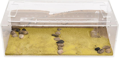 Sand Ant Farm Big - Anthill, Formicarium, Educational, Ants -