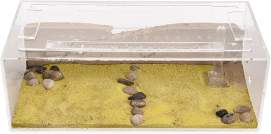 Sand Ant Farm Big - Anthill, Formicarium, Educational, Ants -
