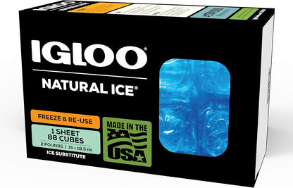 Igloo Maxcold Ice Block