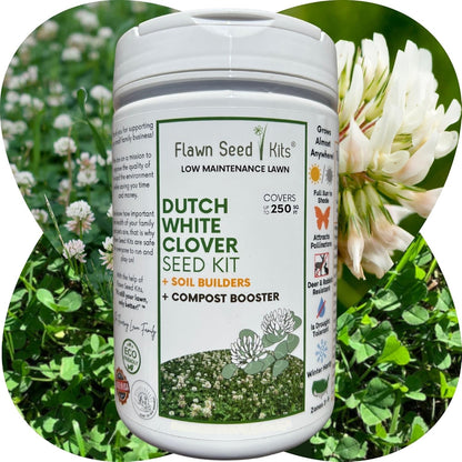 Lawn Seed Kits Dutch White Clover Seed Kit, Easy Spread Shakers, Low Maintenance Lawn, Alternative Ground Cover, Covers up to 250 Sqft