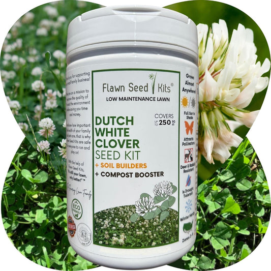 Lawn Seed Kits Dutch White Clover Seed Kit, Easy Spread Shakers, Low Maintenance Lawn, Alternative Ground Cover, Covers up to 250 Sqft