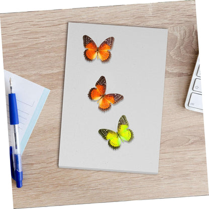 STOBAZA 3pcs Butterfly Specimen Mounting Board Insect Kit Science Supplies for Labs
