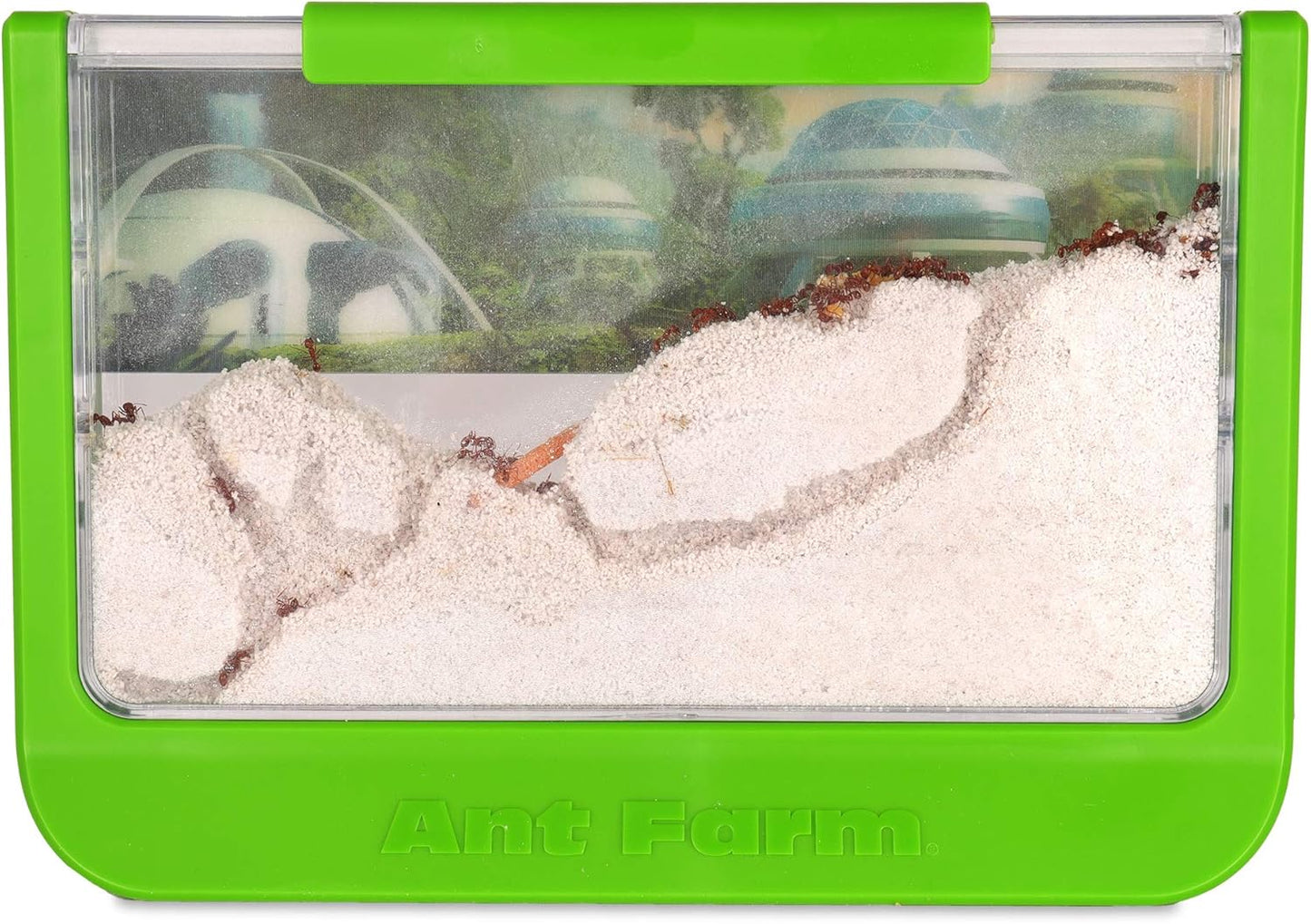 Uncle Milton Ant Farm Antopia Rainforest Ant Habitat - Observe Live Ants - STEM -Nature Learning Toy Green For 6 - 15 years