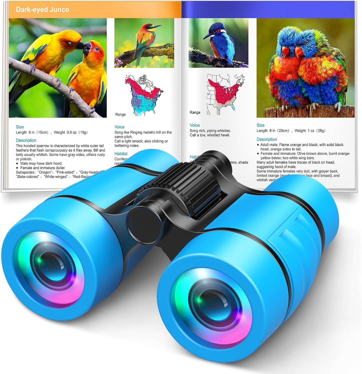 Toys for 3-7 Year Old Boys: LET'S GO! Binoculars for Kids with Bird Watching Manual Easter Birthday Gifts for 4 5 6 7 8 Year Old Boy Girls Outdoor Toy for Kid Ages 5-7 Toddler Camping Telescope
