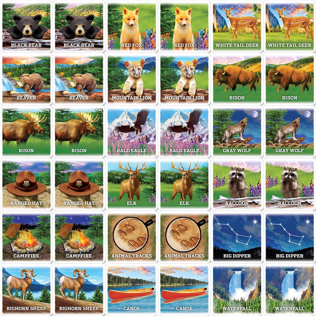 MasterPieces Officially Licensed CAT Picture Matching Card Game for Kids and Families