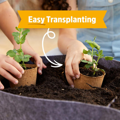 Back to the Roots Terrarium Grow Kit - Easy-to-Use DIY Set for All Ages Small