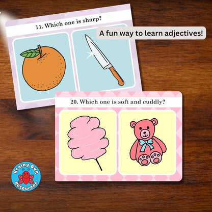 Verbal Reasoning Language Flash Cards for Kids | Q&A Learning Deck for ESL, Home Schooling & Special Needs | Parent and Professional Use