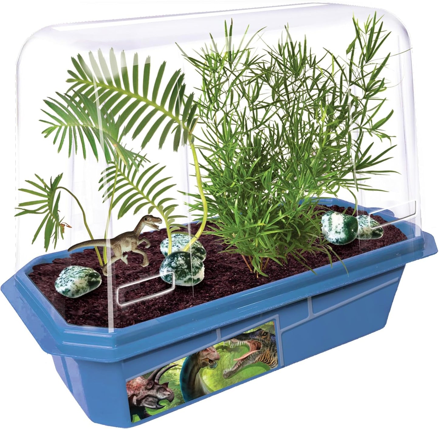 Toys By Nature Miniature Worlds Terrifying Venus Flytrap Terrarium Starter Kit for Kids and Adults, Watch Indoor Carnivorous Fly Traps Grow! Just Add Water! (Frightening Flytraps)