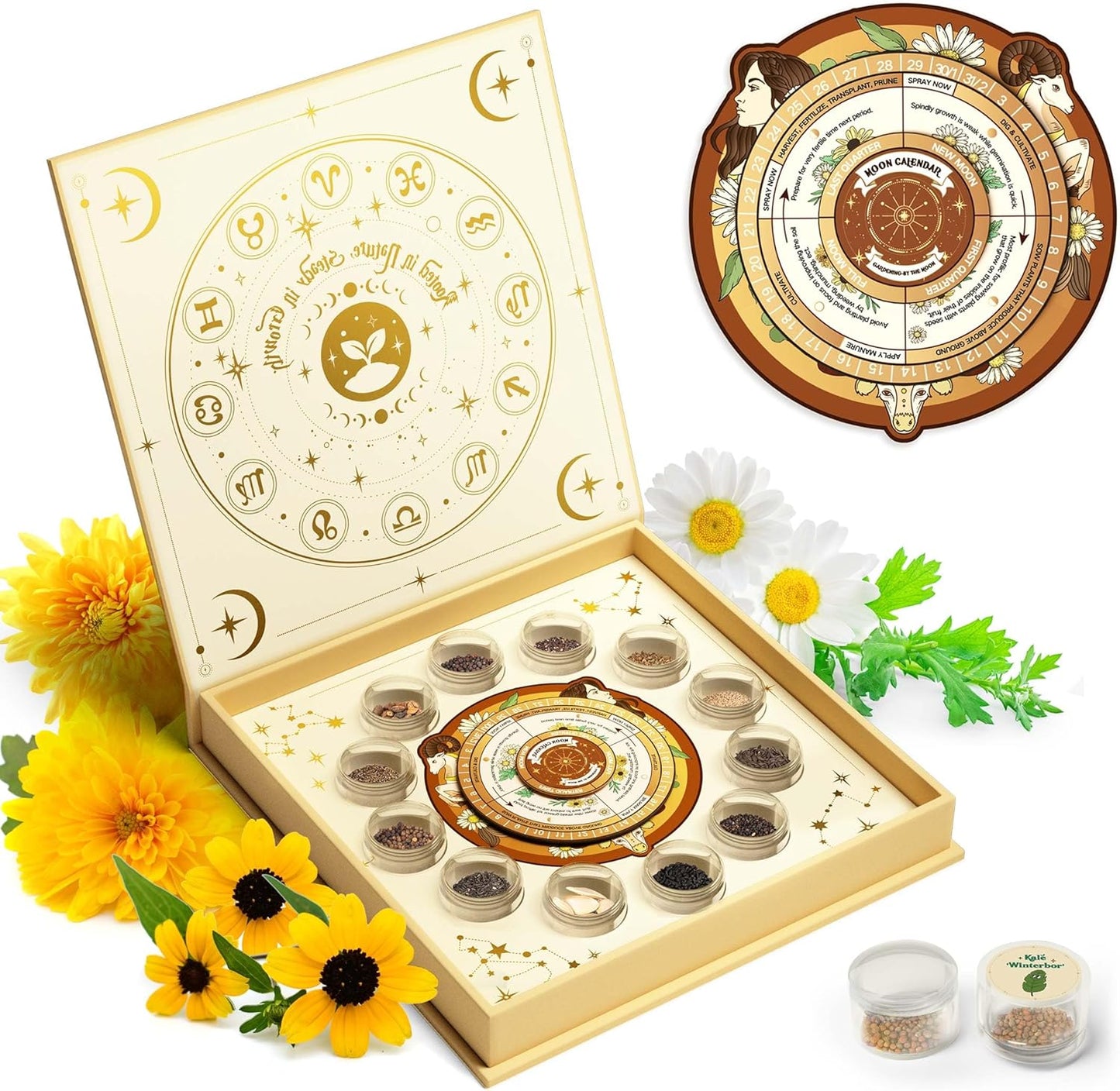 Lush&Dew Ancestral Apothecary Medicinal Tea Herb Seed Chest, 36,000+ Non-GMO Survival Seed Kit, Gardening Gifts for Women Men, 40 Types Heirloom Garden Seeds for Planting Herbs, Raised Bed Windowsill