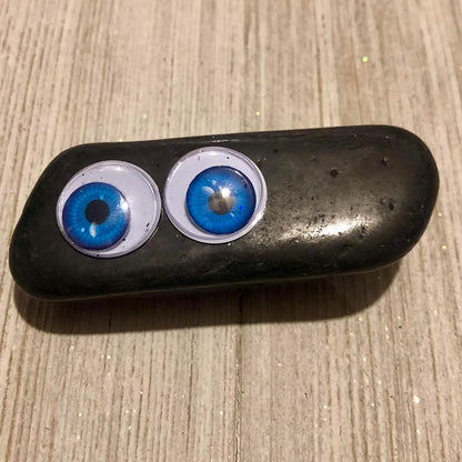Rock Pet Adoption Kit Funny Novelty Gag Gift (Green Eyes)
