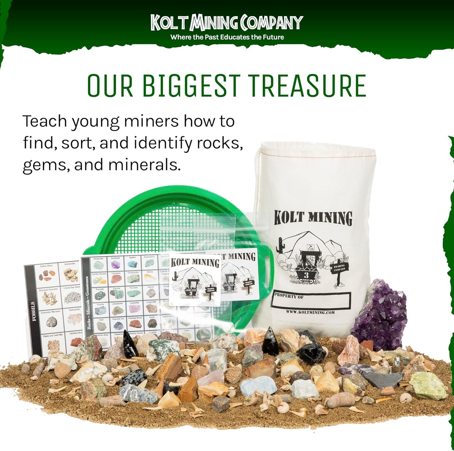 Activity Dig Kit - Adult Geology & Mineralogy Set - Includes Real Fossils, Arrowheads, Shark Teeth, Crystals, Rocks & Gemstones