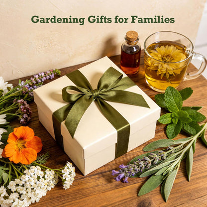 Lush&Dew Ancestral Apothecary Medicinal Tea Herb Seed Chest, 36,000+ Non-GMO Survival Seed Kit, Gardening Gifts for Women Men, 40 Types Heirloom Garden Seeds for Planting Herbs, Raised Bed Windowsill