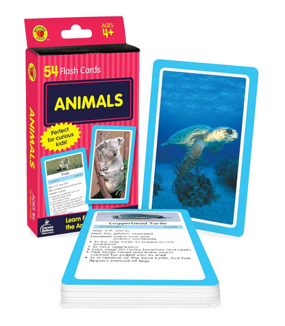 Carson Dellosa 54 Animal Flash Cards, Zoo, Reptiles, Bugs, Sea Creatures, and More Flashcards, Toddler Stocking Stuffers, Preschool Learning Activities for Kids Ages 4 and Up