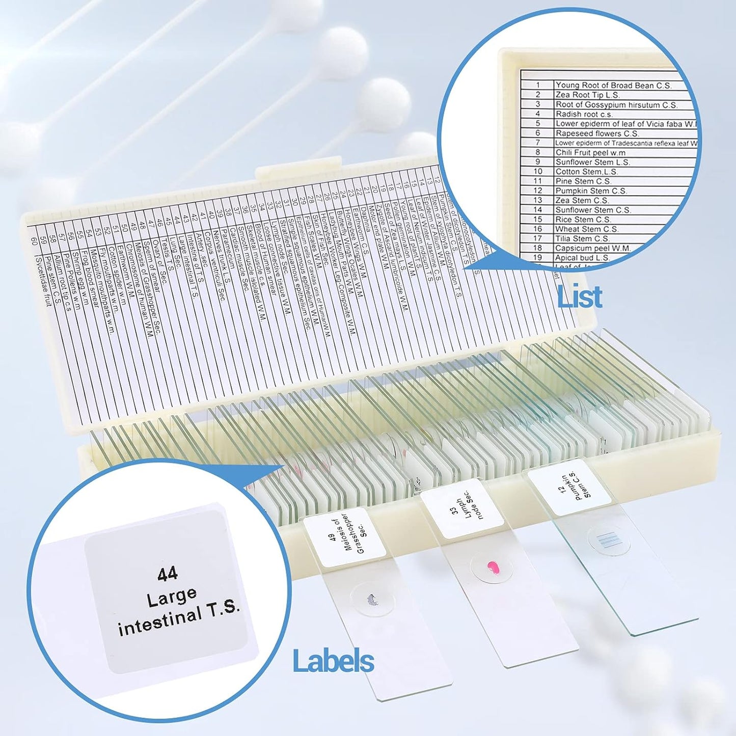 30 Microscope Slides with Specimens for Kids, Prepared Microscope Slides for Kids Microbiology, Glass Slides for Microscope, Biology Gifts for Adults Kids