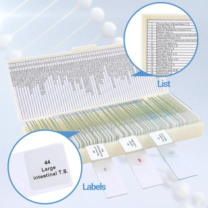 30 Microscope Slides with Specimens for Kids, Prepared Microscope Slides for Kids Microbiology, Glass Slides for Microscope, Biology Gifts for Adults Kids