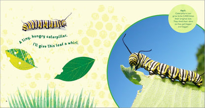 The Backyard Bug Book for Kids: Storybook, Insect Facts, and Activities (Little Scientists Learn)