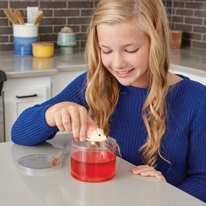 MindWare Crystal Growing Kits: Hedgehogs Warm Colors Set of 2 – Cute DIY Crystal Growing Kits for Kids & Teens – Mini Science Experiment – Crystals Grow in 24 Hours