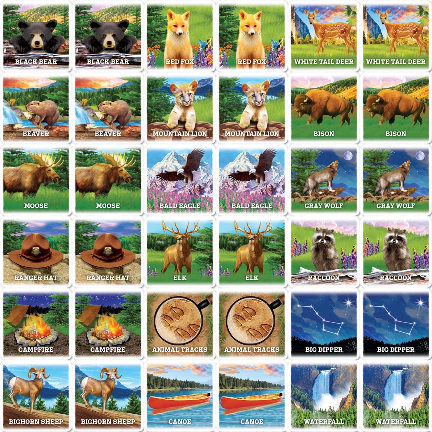 MasterPieces Officially Licensed CAT Picture Matching Card Game for Kids and Families