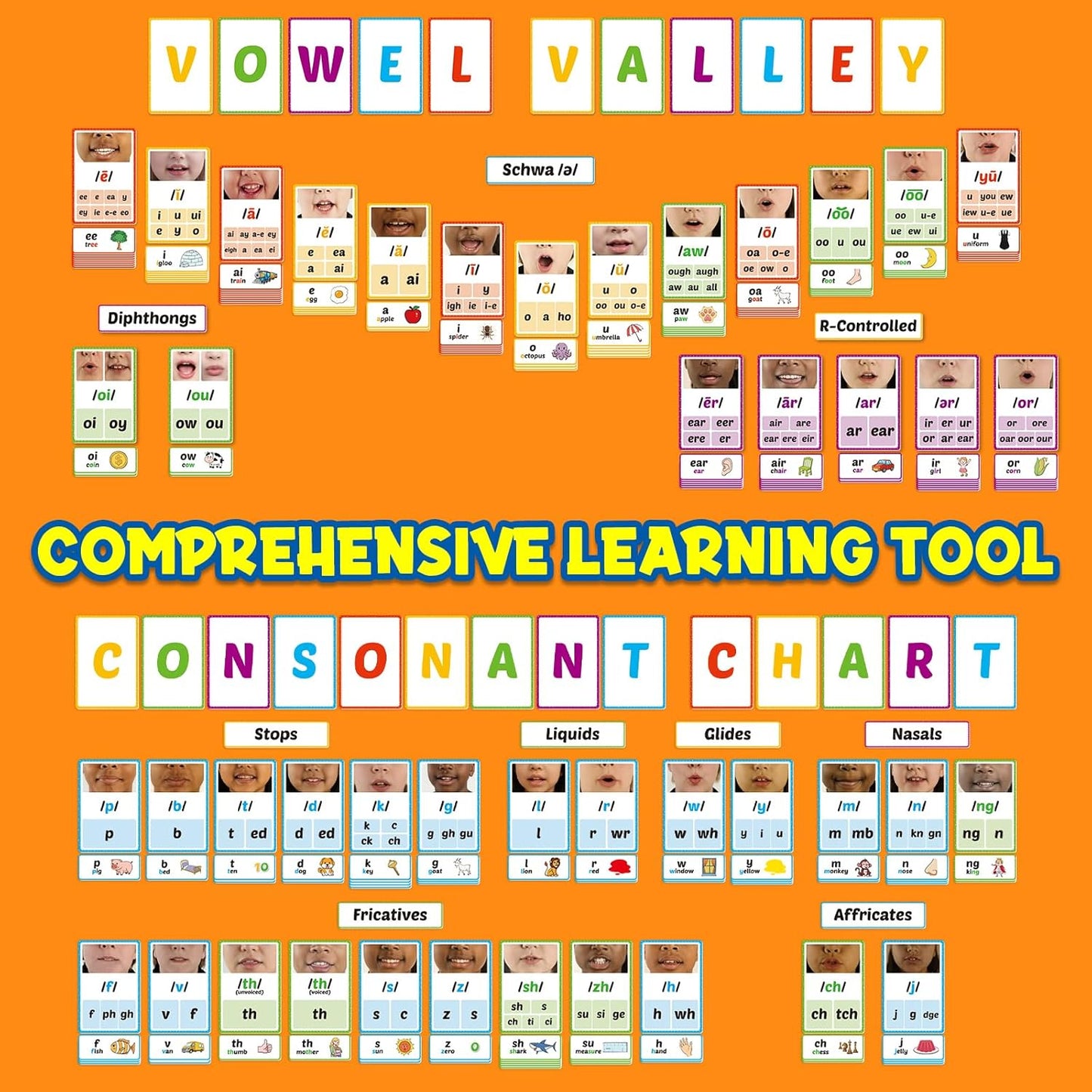 Phonics Sound Wall Set,Letter Sounds Sight Words Flash Cards,Learn to Read Sounds Phoneme Speech Therapy Materials,Phonics Games for Kids Kindergarten,Phonemic Awareness Speak Spell Learning Activity