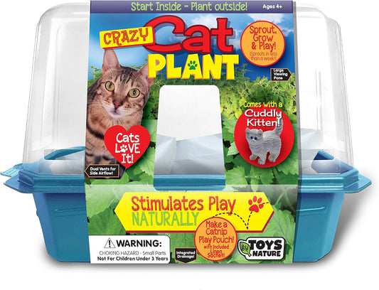 Toys By Nature Miniature Worlds Terrifying Venus Flytrap Terrarium Starter Kit for Kids and Adults, Watch Indoor Carnivorous Fly Traps Grow! Just Add Water! (Frightening Flytraps)