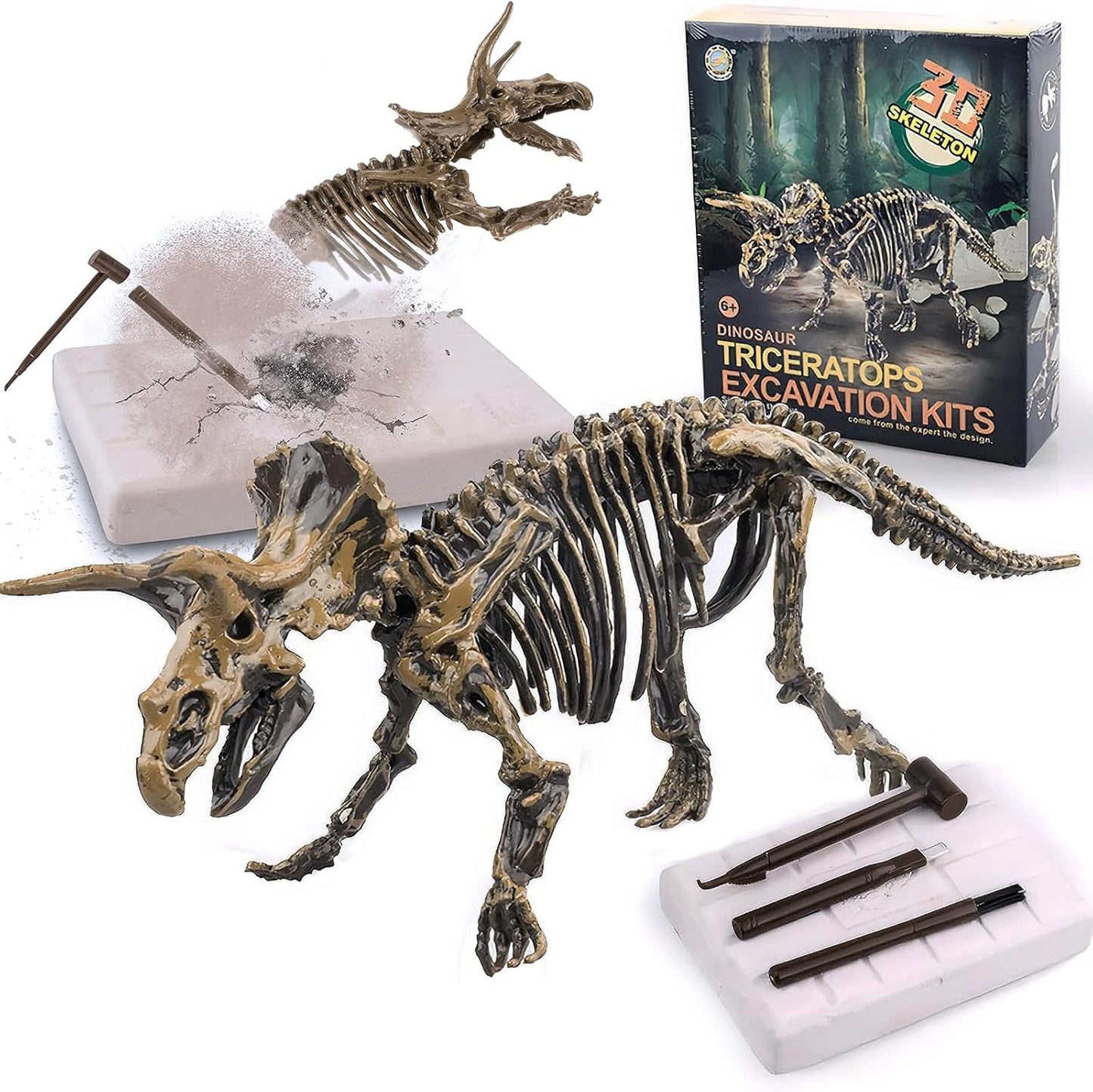Dig & Discover Dino Tyrannosaurus Rex Dinosaur Skeleton 3D Fossil Bones Excavation, Science Educational Toy Kit for Kids, Children
